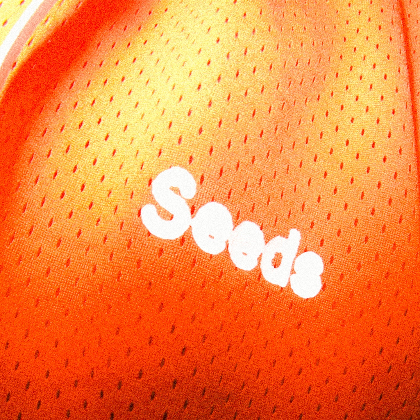 Seeds Mesh Shorts