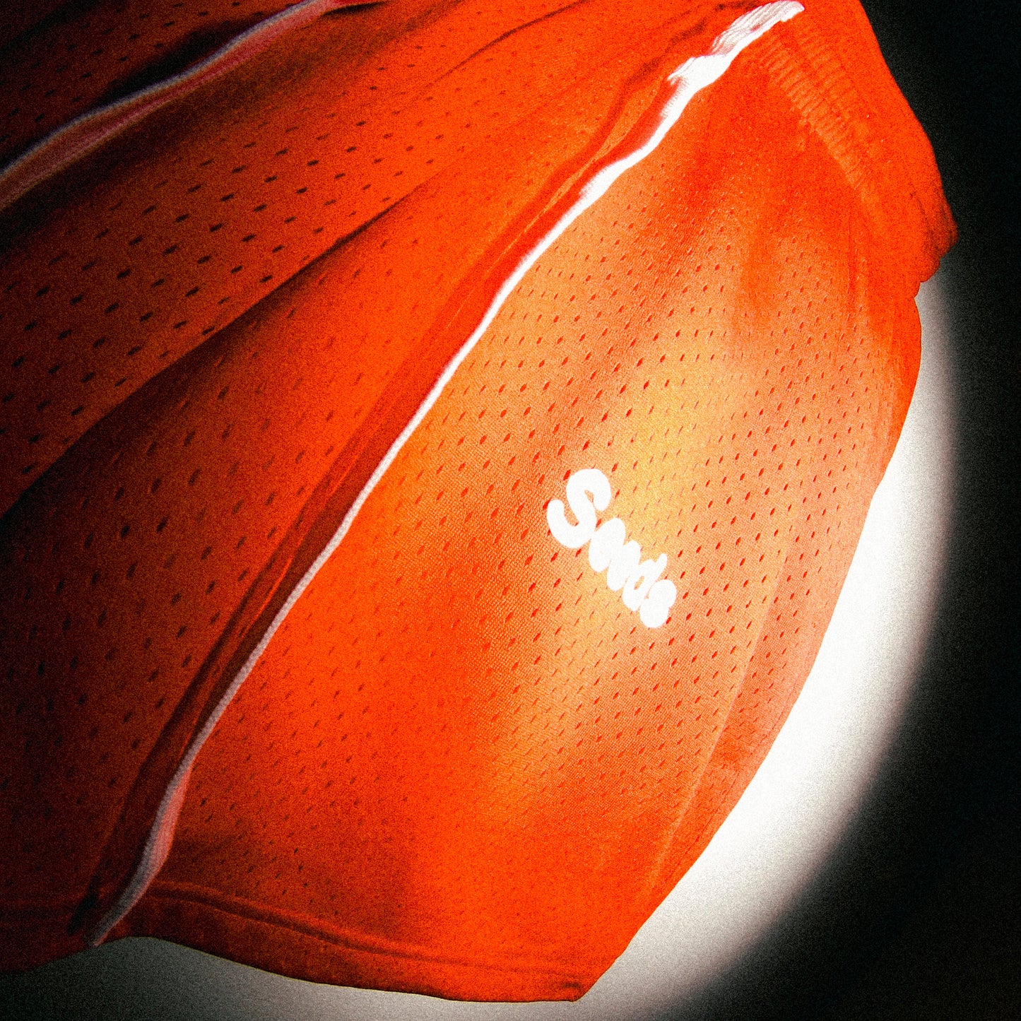 Seeds Mesh Shorts