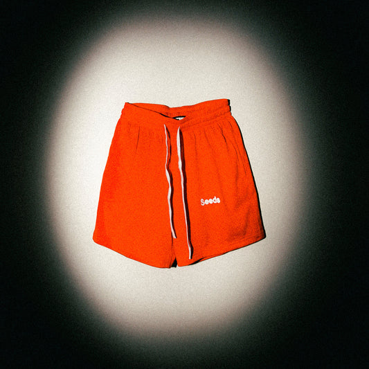 Seeds Mesh Shorts
